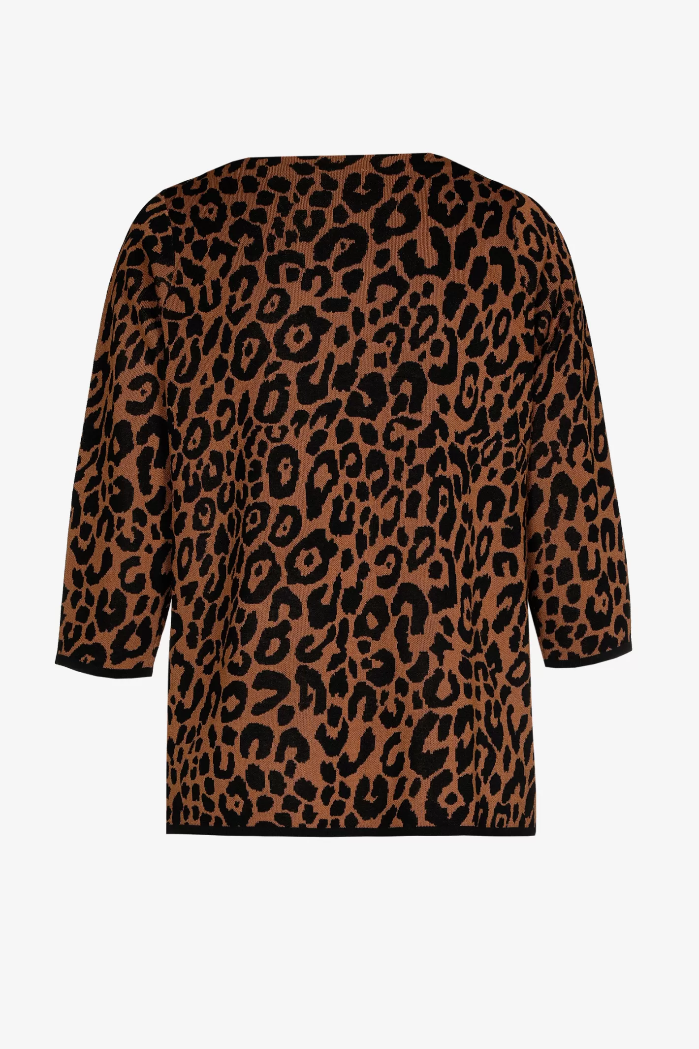 Femme Xandres Pull à motif léopard